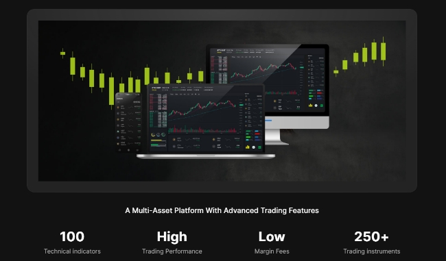 luzuna website screenshot